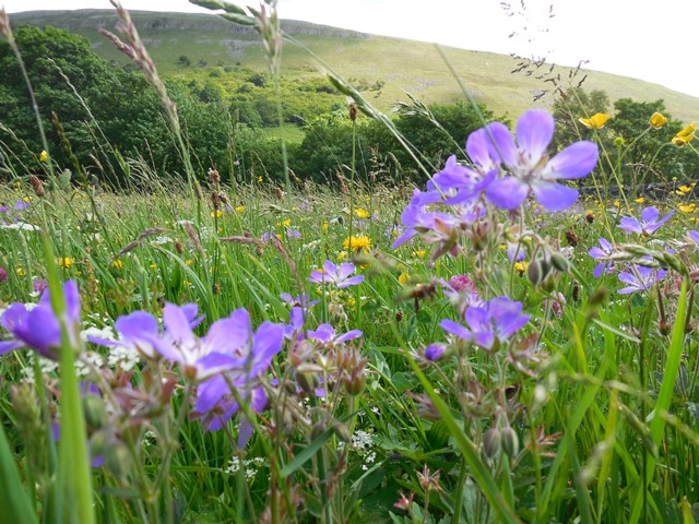 muker-swaledale-1